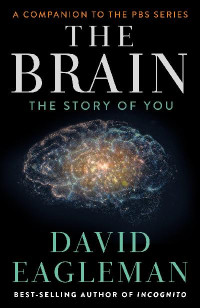 Eagleman, David — Brain : The Story of You (9781101870549)