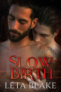 Leta Blake — Slow Birth: a Heat of Love novella