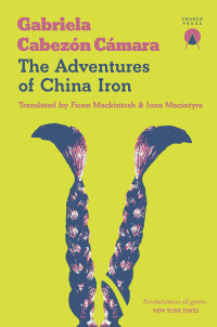 Gabriela Cabezón Cámara — The Adventures of China Iron