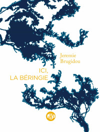 Jérémie BRUGIDOU — Ici, la Béringie