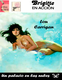 Lou Carrigan — Un palacio en las nubes