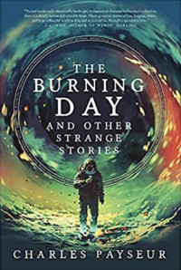 Charles Payseur — The Burning Day and Other Strange Stories