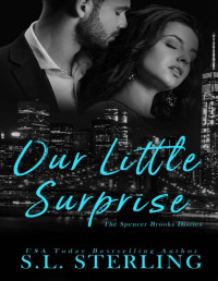 S.L. Sterling — Our Little Surprise (The Spencer Brooks Diaries Book 2)
