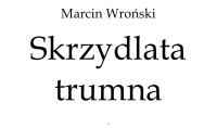 Unknown — Wroński Marcin - Komisarz Maciejewski 04 - Skrzydlata trumna [tab]_001