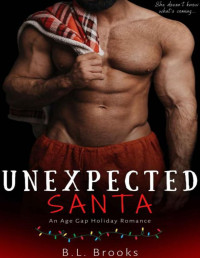 B.L. Brooks — Unexpected Santa: An Age Gap Instalove Holiday Romance