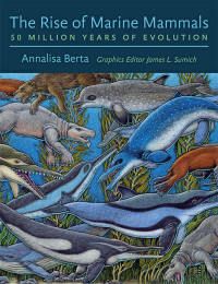 Annalisa Berta, Graphics Editor James L. Sumich — The Rise of Marine Mammals: 50 Million Years of Evolution