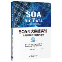 何明璐 — SOA与大数据实战