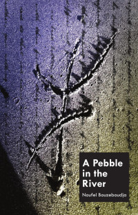 Noufel Bouzeboudja — A Pebble In The River