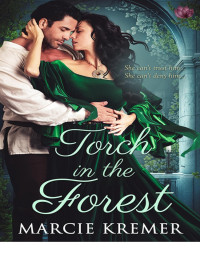 Marcie Kremer — Torch in the Forest