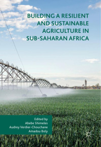 Abebe Shimeles & Audrey Verdier-Chouchane & Amadou Boly — Building a Resilient and Sustainable Agriculture in Sub-Saharan Africa