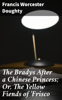 Francis Worcester Doughty — The Bradys After a Chinese Princess; Or, The Yellow Fiends of 'Frisco