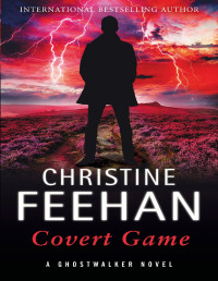 Christine Feehan — Covert Game