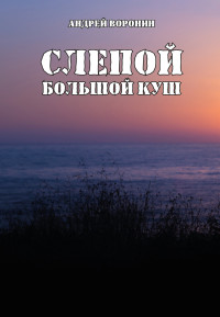 Андрей Николаевич Воронин — Слепой. Большой куш