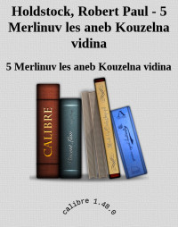 5 Merlinuv les aneb Kouzelna vidina — Holdstock, Robert Paul - 5 Merlinuv les aneb Kouzelna vidina