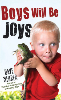 Dave Meurer [Meurer, Dave] — Boys Will Be Joys
