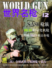 杂志爱好者 — 世界名枪201212