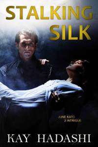 Kay Hadashi — Stalking Silk: A Killer in the Shadows (The June Kato Intrigue Series Book 2)