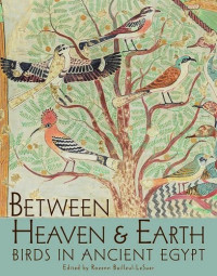 Rozenn Bailleul-Lesuer [Bailleul-Lesuer, Rozenn] — Between Heaven and Earth: Birds in Ancient Egypt