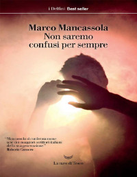 Marco Mancassola — Non saremo confusi per sempre