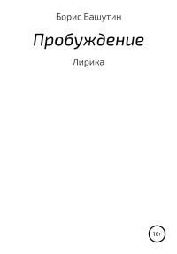 Борис Валерьевич Башутин — Пробуждение