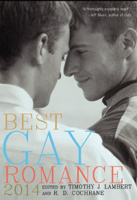 R.D. Cochrane — Best Gay Romance 2014