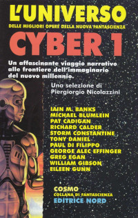 Piergiorgio Nicolazzini [Nicolazzini, Piergiorgio] — L'Universo Cyber 1