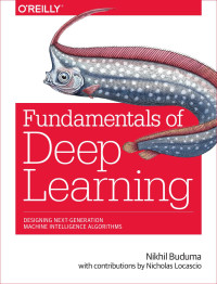 Nikhil Buduma — Fundamentals of Deep Learning