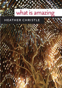 Christle, Heather — What Is Amazing