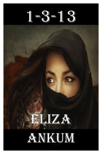 Eliza D. Ankum [Ankum, Eliza D.] — 1-3-13: A Novel of International Suspense