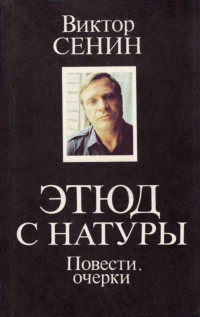 Виктор Тихонович Сенин — Этюд с натуры