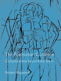 Robert Pepperell — The Posthuman Condition