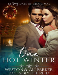 Ali Parker [Parker, Ali] — One Hot Winter