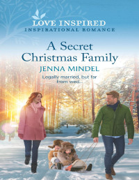 Jenna Mindel — A Secret Christmas Family