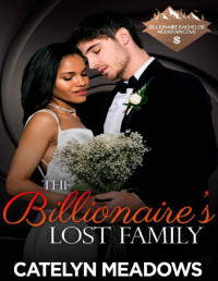 Catelyn Meadows — The Billionaire's Lost Family: A Companion Novella (Billionaire Bachelor Mountain Cove Book 20)