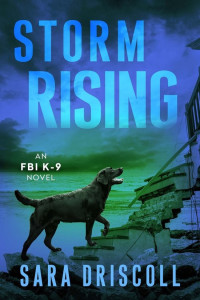 Sara Driscoll — Storm Rising