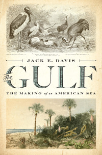 Jack E. Davis — The Gulf