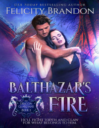 Felicity Brandon — Balthazar's Fire (A Dragon Shifter Dark Romance): The Dragon Guardians