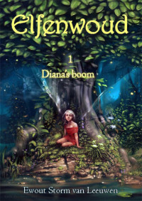 Ewout Storm van Leeuwen — Diana's boom