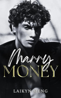 Laikyn Meng — Marry Money: Accidental Marriage Billionaire Romance