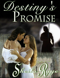 Raye, Sheila — Destiny's Promise