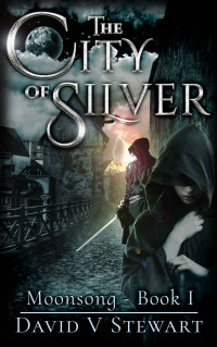 David V Stewart [Stewart, David V] — The City of Silver