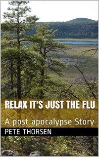 Pete Thorsen — Relax It's Just the Flu