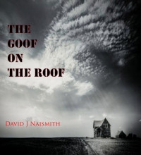 David Naismith — The Goof on the Roof