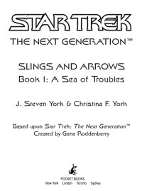 J. Steven York;Christina F. York; & Christina F. York — A Sea of Troubles