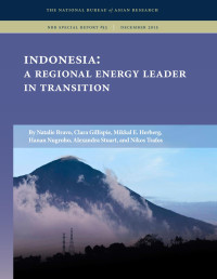 Natalie Bravo, Clara Gillispie, Mikkal E. Herberg, Hanan Nugroho, Alexandra Stuart & Nikos Tsafos — Indonesia: A Regional Energy Leader in Transition