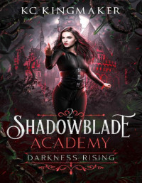 KC Kingmaker — Shadowblade Academy 2: Darkness Rising