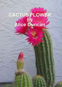  — Cactus Flower
