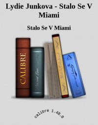 Stalo Se V Miami — Lydie Junkova - Stalo Se V Miami