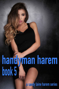 Sandy Laine — Handyman Harem Book 5: A MFFF harem series (Handyman: A harem series)