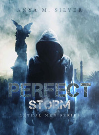 4. Anya M. Silver [Silver, 4. Anya M.] — Perfect Storm